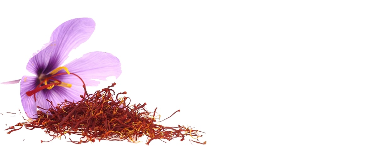 Nhụy hoa nghệ tây saffron là gì? Tác dụng & Cách sử dụng hiệu quả