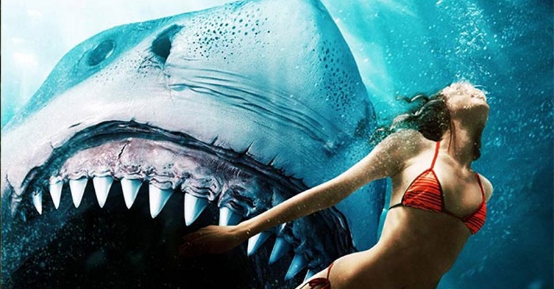 Top 8 Bộ phim về cá mập cực hay, gay cấn nhất bạn nên xem