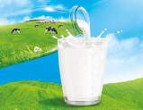 Top 5 Sữa bột nguyên kem nào tốt nhất được các mẹ tin dùng